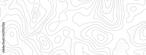 Topographic map lines background. Vector illustration. Abstract pattern with lines