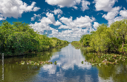 River in Florida with the forest on both sides and cloudy blue sky