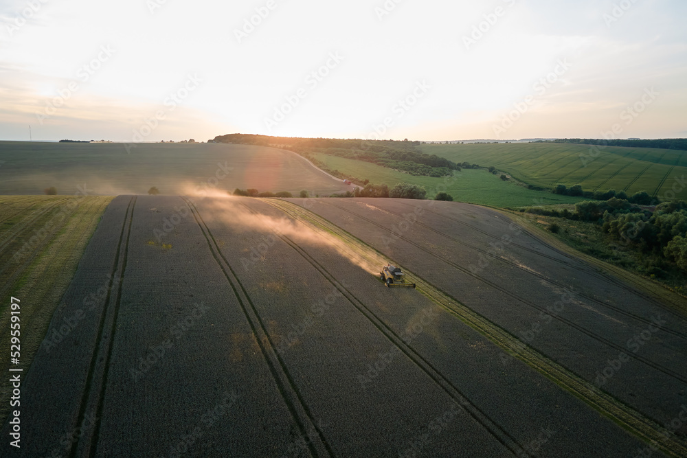 Aerial view of combine harvester working during harvesting season on large ripe wheat field. Agriculture concept