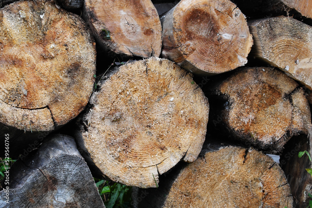 Preparation of firewood for furnace heating. Sawn tree trunks for the fireplace Preparation of firewood for furnace heating. Sawn tree trunks for the fireplace