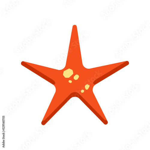 starfish - seastar