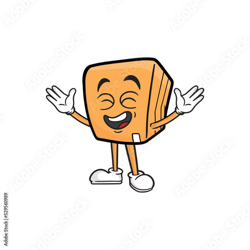 box character cartoon mascot vector