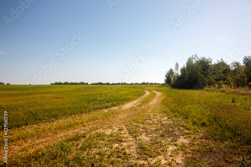 road in the field
