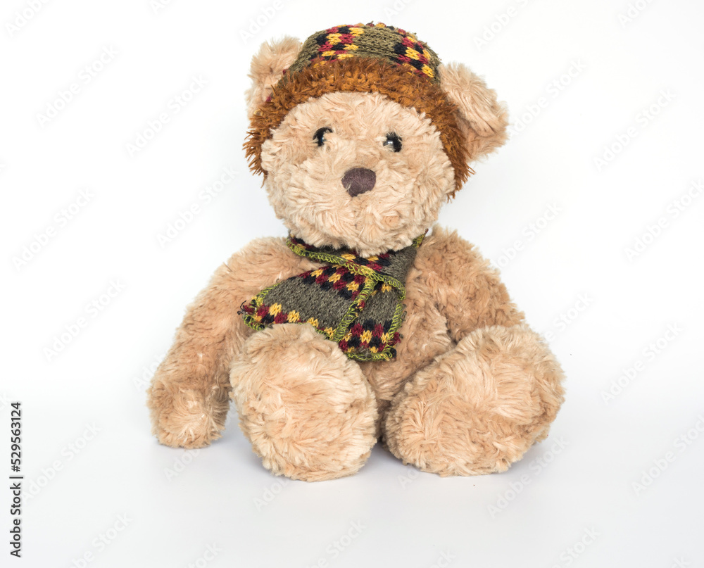 Teddy bear doll on white background.