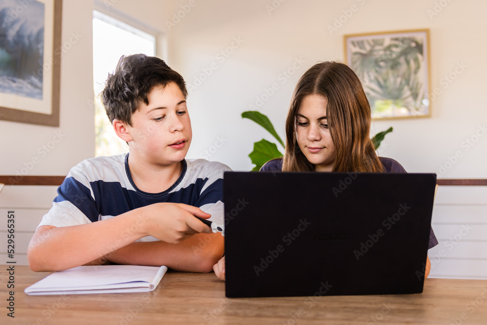students doing homework at home students doing homework at home