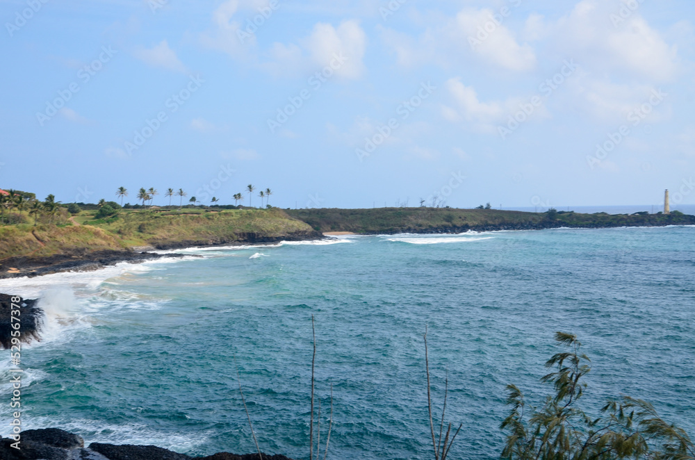 view of the coast of the river view of the coast of the river