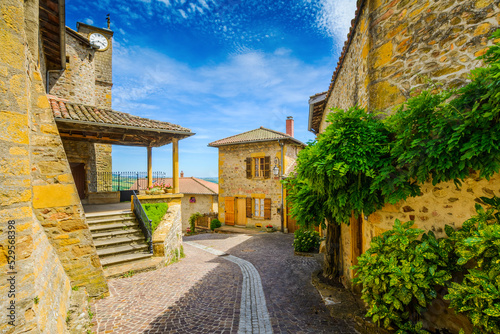 Obraz na płótnie In the street of the medieval village Ternand in France w salonie