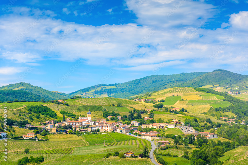 Fototapeta premium Letra village and vineyards landscape in France