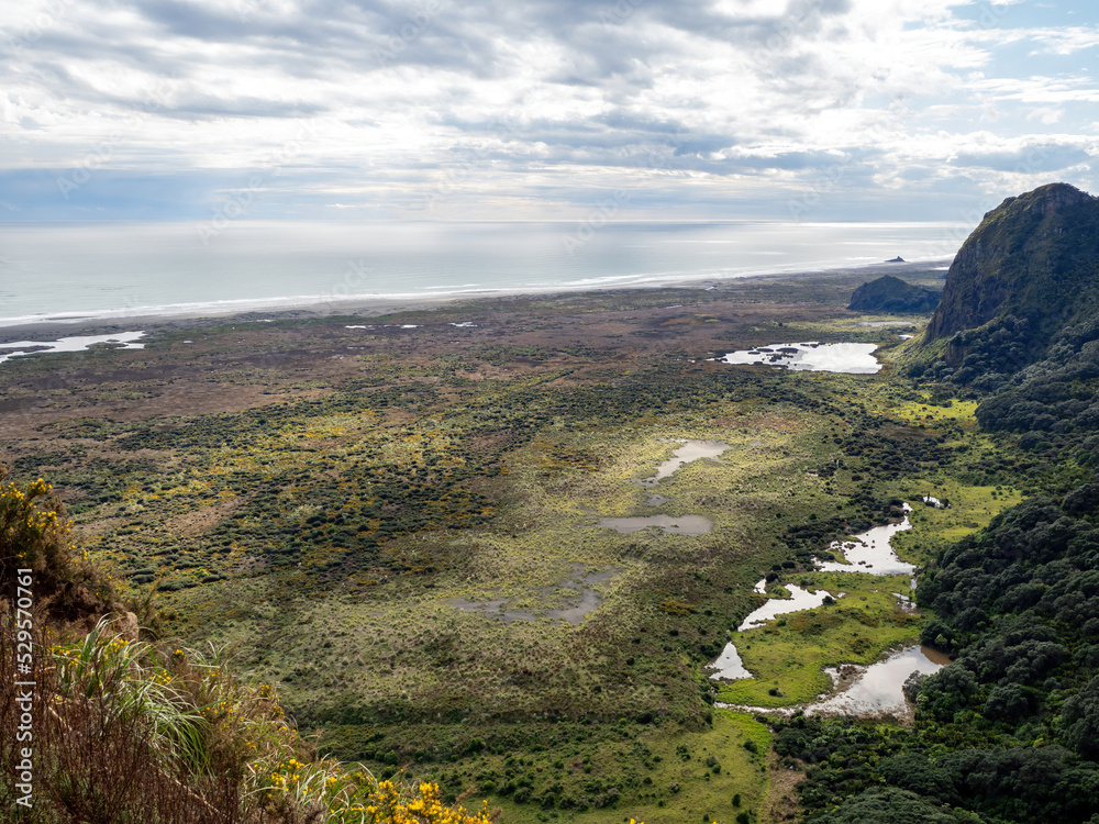 Whatipu Gibbons Track. Veiw to Taranaki Bay.