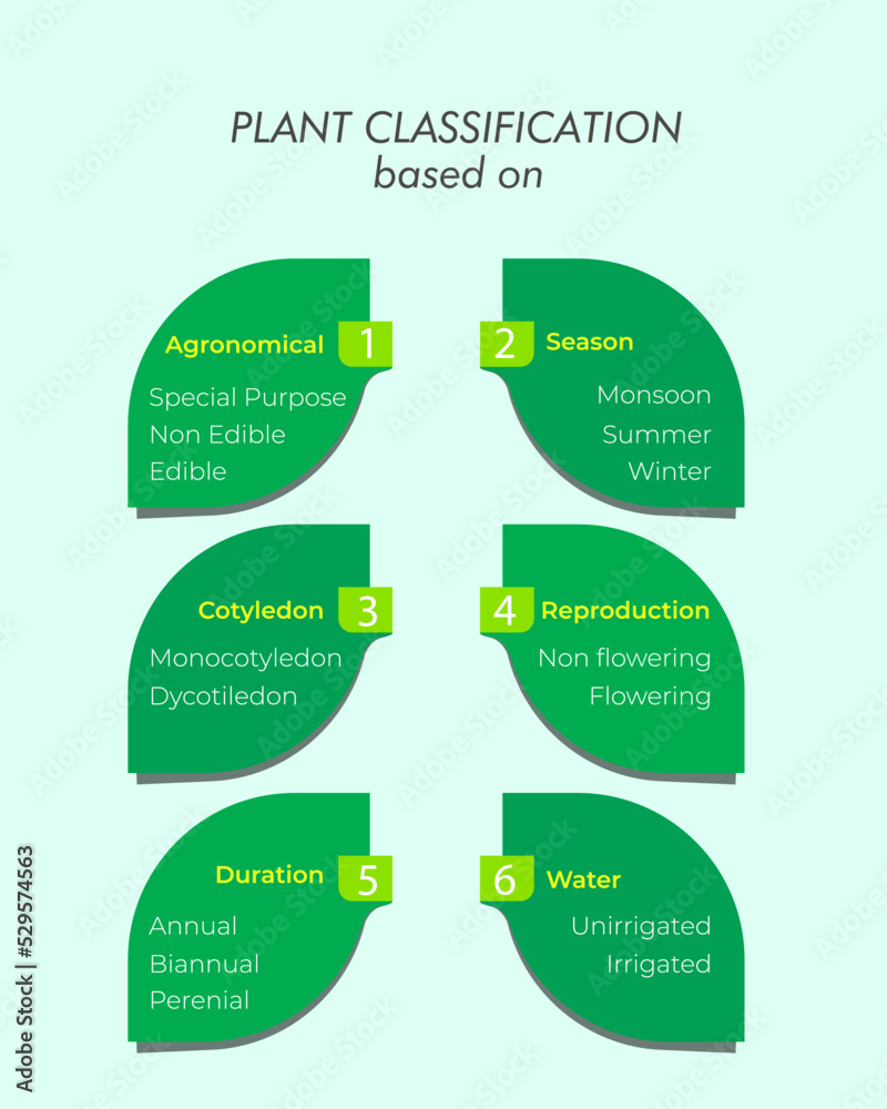 Obraz premium Plant classification based on agronomical, season, cotyledon, reproduction, duration and irrigation