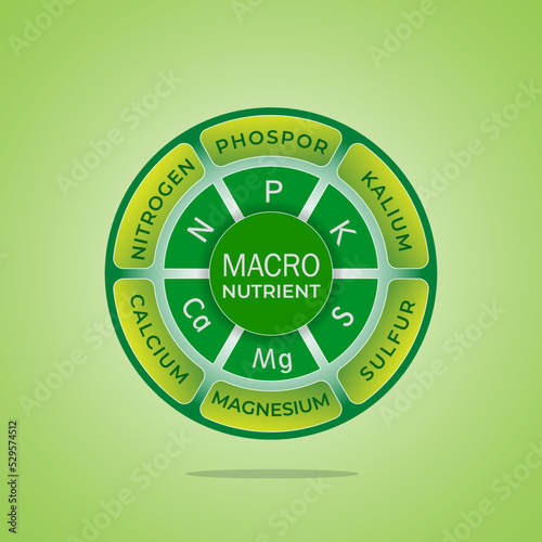 Plant nutrient macro, main needs unsure of plants