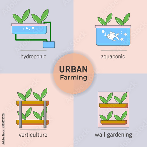 types of urban farming. hydroponic, aquaponic, verticulture, wall gardening