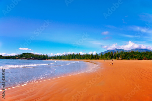 The woman with a dog walks on a beach