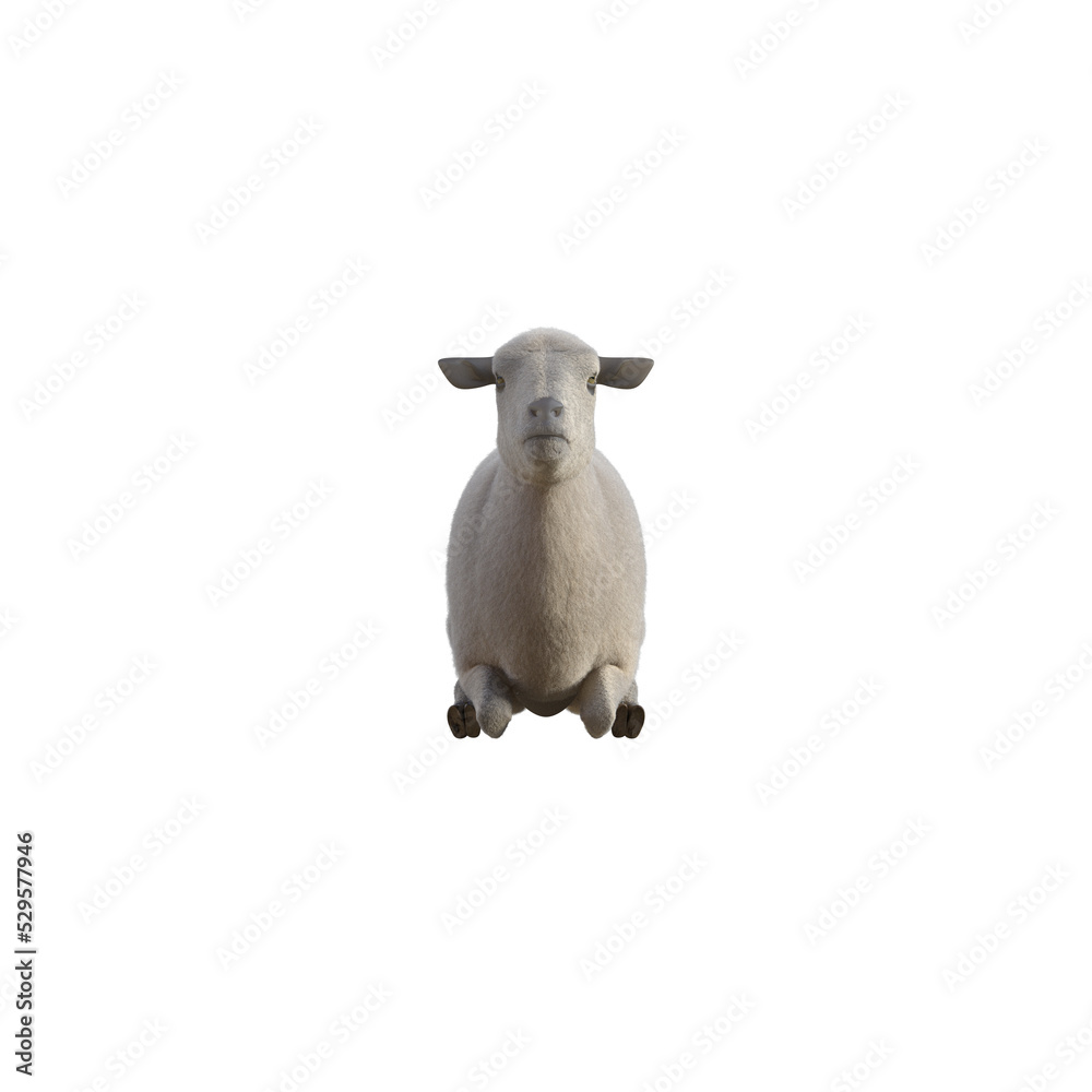 Sheep photorealistic in different poses on transparent background. 3D rendering illustration.