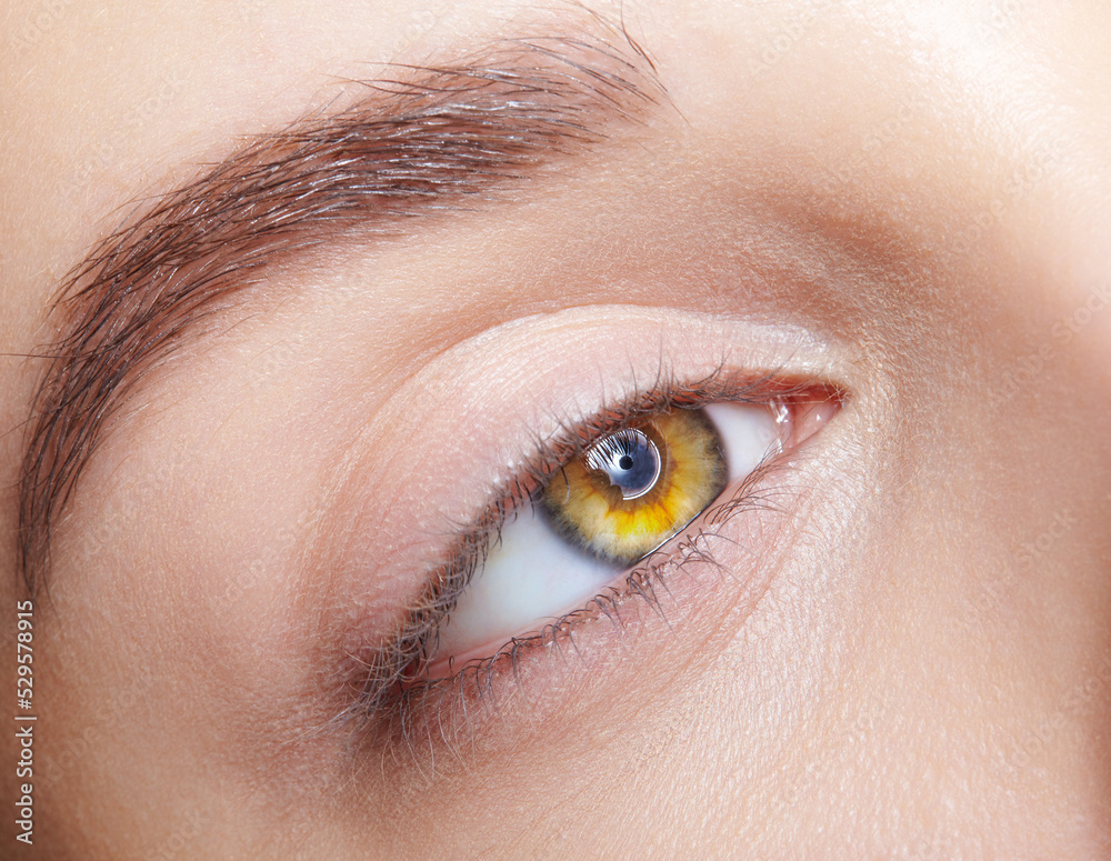 Fototapeta premium Closeup macro shot of human female eye with nude makeup.