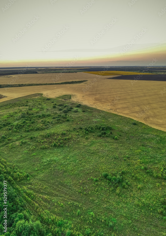 aerial photography of rural nature