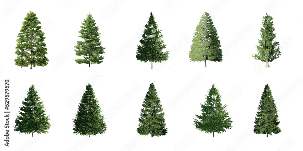 Collection 3D Christmas Trees Isolated on PNGs transparent background , Use for visualization in architectural design or garden decorate	