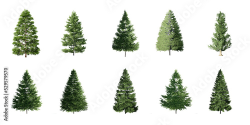 Collection 3D Christmas Trees Isolated on PNGs transparent background , Use for visualization in architectural design or garden decorate 