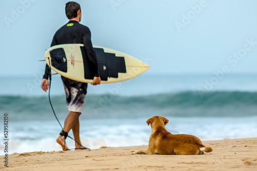 Surfer and his dog, shot in Arugam bay, Sri Lanka