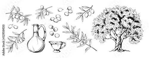 Oil tree. Vintage hand drawn olive branch. Engraved bottle. Vitamins for berry fruit. Vegetarian mayonnaise. Farm food. Plant foliage. Mediterranean flora. Vector graphic sketches set