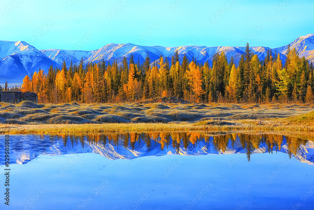 Obraz premium autumn forest landscape, abstract background October view in yellow trees, fall nature