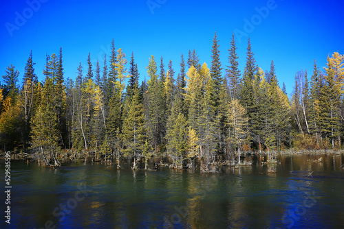 scenic, autumn landscape trees and forest river and lake, nature view fall background © kichigin19