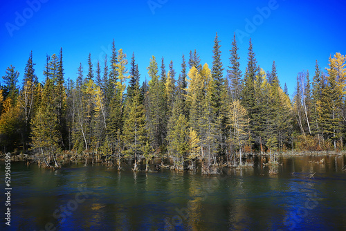 scenic, autumn landscape trees and forest river and lake, nature view fall background