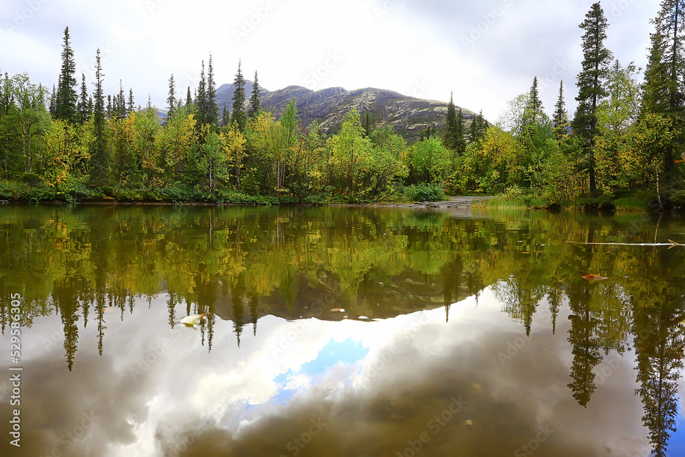 Fototapeta premium autumn taiga forest landscape, nature view fall in the mountains