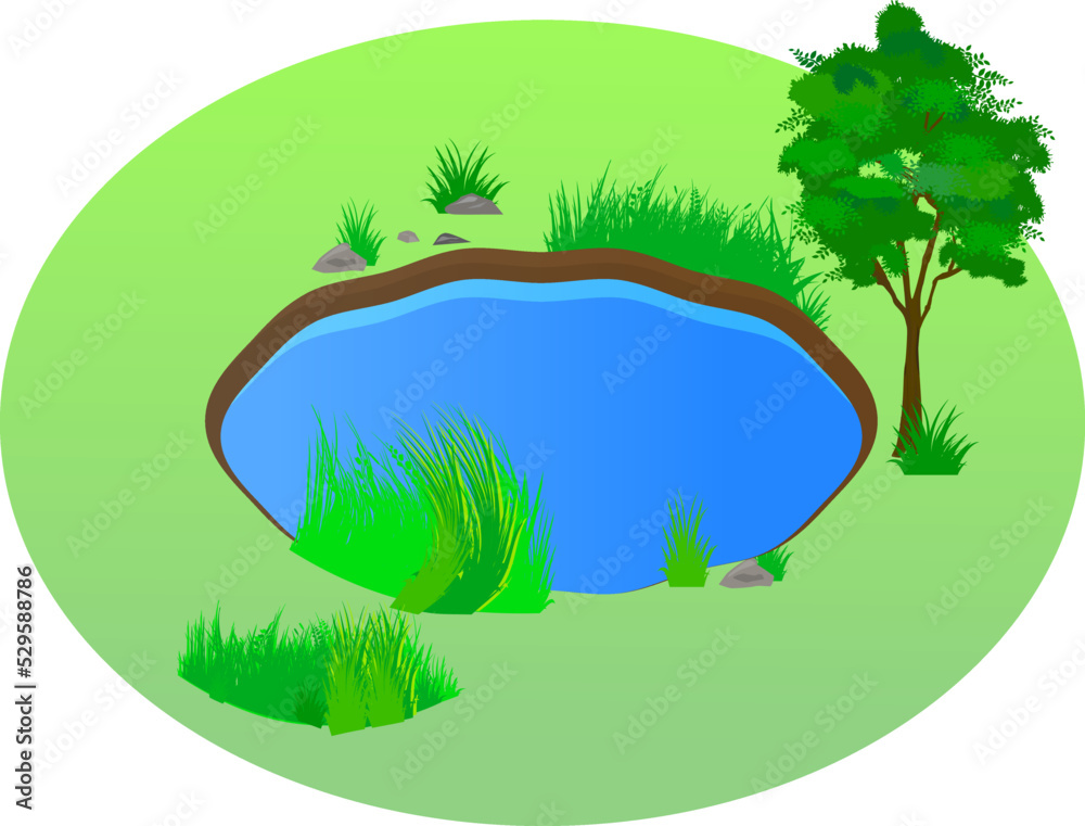 Obraz premium 森の中の湖の風景