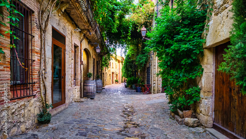 Fototapeta Naklejka Na Ścianę i Meble -  Picturesque alley full of green vines making arches between the walls in Peratallada, Girona, Spain.