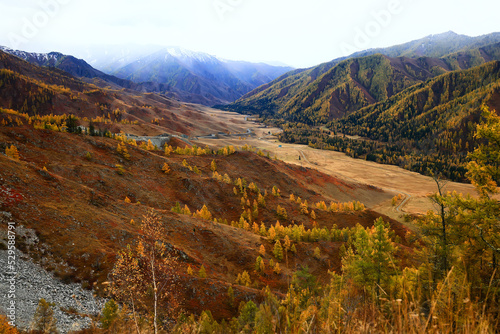 landscape mountain altai, panorama scenery freedom, autumn nature of siberia