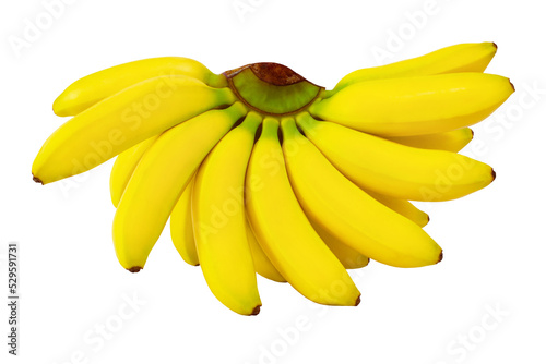 Baby bananas branch. Mini banana bunch