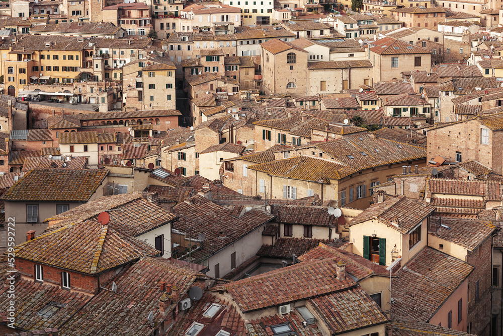 Top view of the medieval houses of the city of Siena. Tuscany. Italy