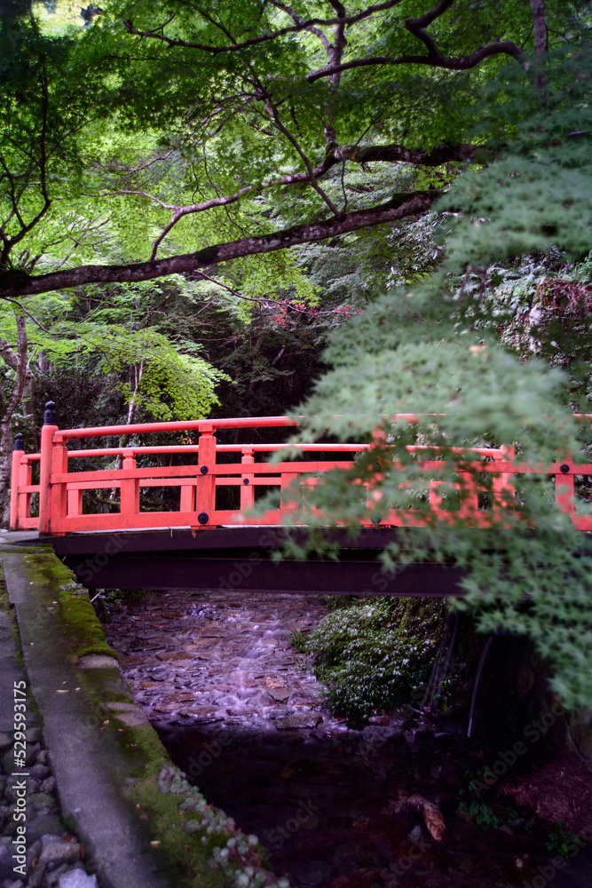 Fototapeta premium 京都大原三千院・津川の赤い橋