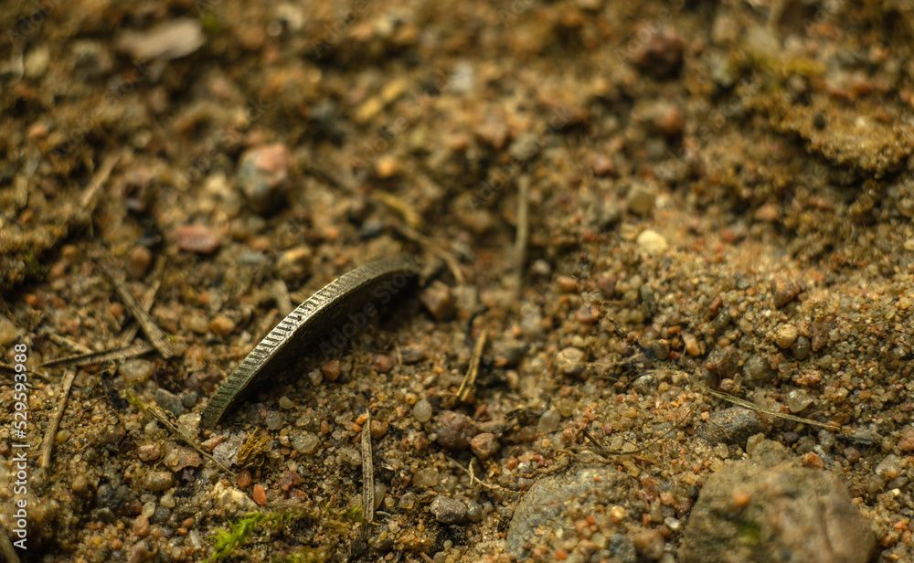 An old silver coin sticks out of the ground.Search for treasures.Treasure hunters. Find the treasure. An old silver coin sticks out of the ground.Search for treasures.Treasure hunters. Find the treasure.