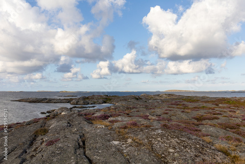Ocean view of bare rocks and heather in coastal flat landscape. Clouds in the sky on summer day