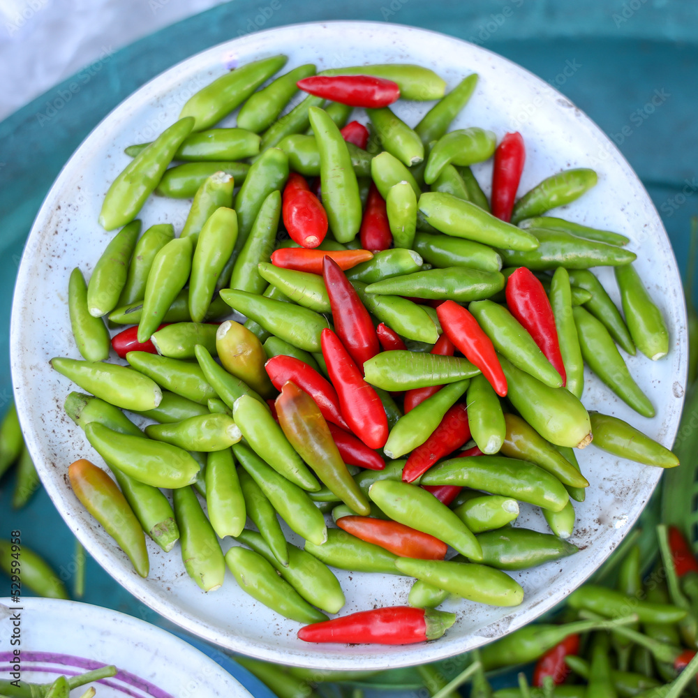 Fresh Green and Red Chilli Spicy plants Fresh Green and Red Chilli Spicy plants