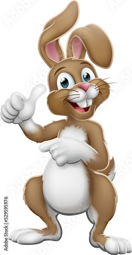 Easter Bunny Rabbit Cartoon...