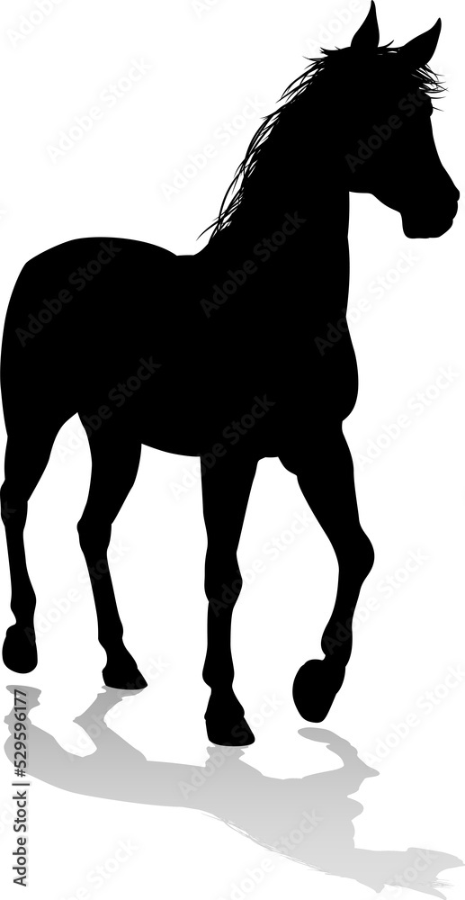Obraz premium Horse Animal Silhouette