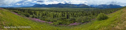 Mountain panorama at Glenn Highway between Glennallen and Palmer in Alaska, United States,North America  © kstipek