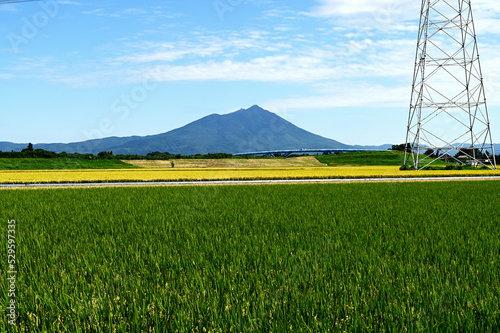 田んぼと山（筑波山）