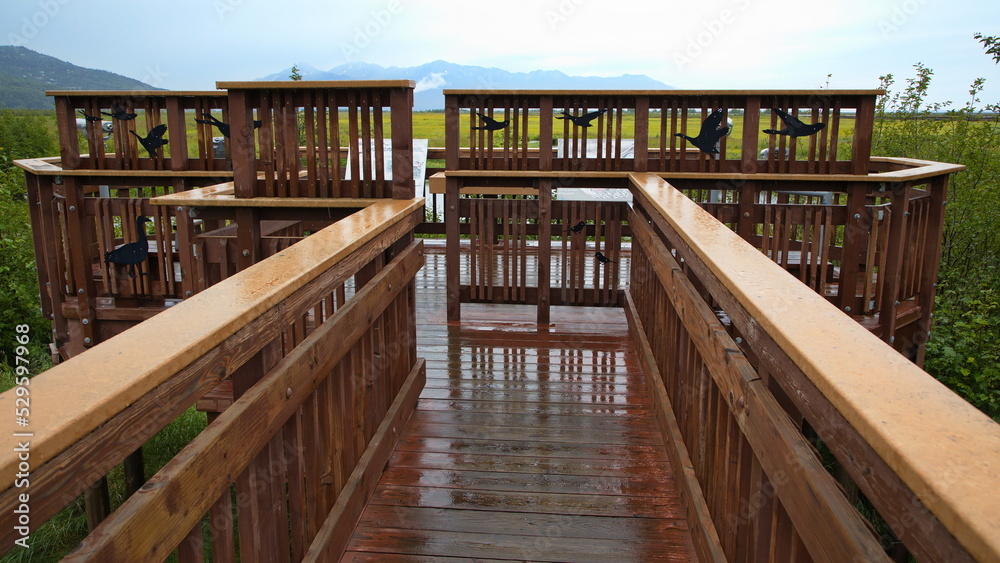 Boardwalk in Potter Marsh Bird Sanctuary at Anchorage in Alaska, United States,North America
Boardwalk in Potter Marsh Bird Sanctuary at Anchorage in Alaska, United States,North America