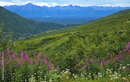Landscape at Hatcher Pass near Palmer in Alaska, United States,North America  © kstipek