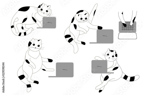 Set of cats. Domestic kitten. Cat with laptop.