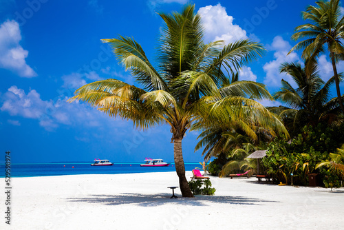 Fototapeta Naklejka Na Ścianę i Meble -  Landscape on Maldives island, luxury water villas resort and sandy beach. Beautiful sky and ocean and beach with palms background for summer vacation holiday and travel concept. Tourism.