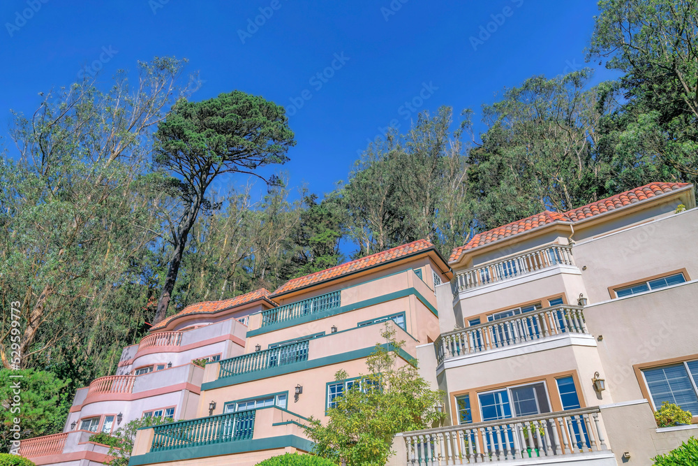 San Francisco California residential houses with blue sky and trees background