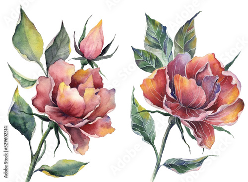 Fototapeta Naklejka Na Ścianę i Meble -  Brushstroke flower and Colorfull Flowers watercolor Flowers Textile Design illustration PNG Flowers 