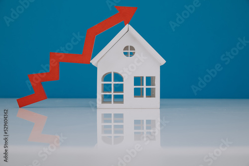 House model in a basket and red arrow up with cash. The concept of inflation and the growth price of insurance services