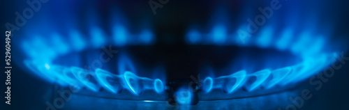 Close-up natural gas flame. Gas flame on dark background. Blue flames from gas stove burner photo