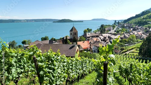 view of the vineyards in the mountains- Neuchatel lake in Switzerland (Lavaux photo